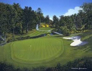 Golf @ Druids Glen Golf Resort 